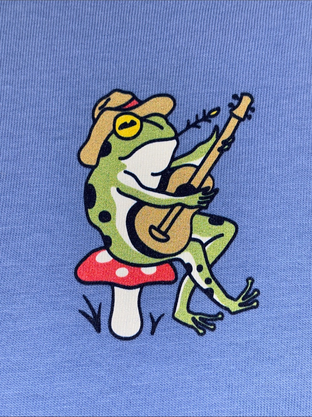 Life Is Good Cornflower Blue Short Sleeve Boxy Tee with Small Guitar Frog